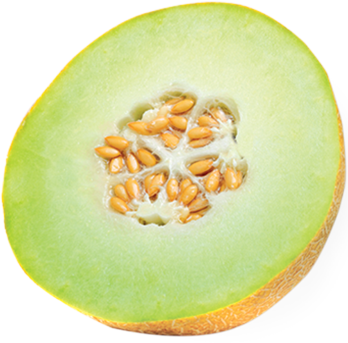 America's Favorite Melon, Bursting With Healthy Essential - Muskmelon (500x500), Png Download