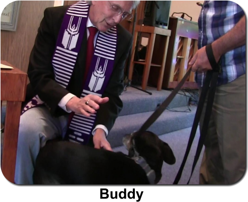 Dog Licks (498x403), Png Download