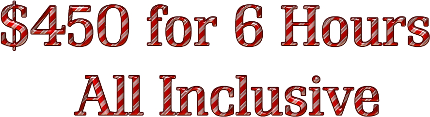 Holiday Lights Limo Tour Rates - Holiday (901x256), Png Download