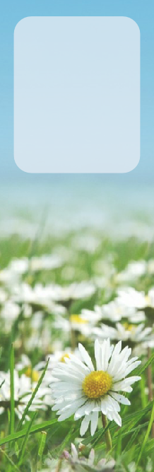 “play Is The Highest Expression Of Human Development - Wallpaper (218x667), Png Download