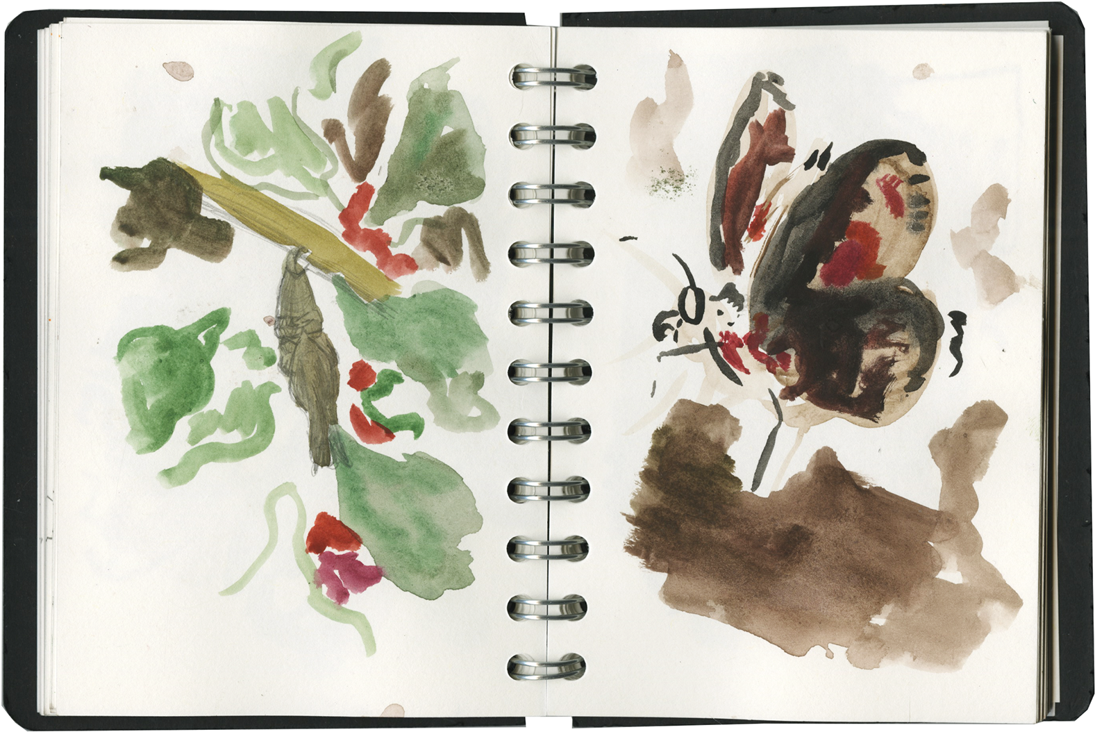 Sketchbook - Watercolor Paint (1920x1353), Png Download