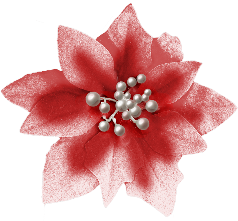 Фотки Navidad Blanca, Feliz Navidad, Clipart De Flor, - Christmas Day (800x730), Png Download