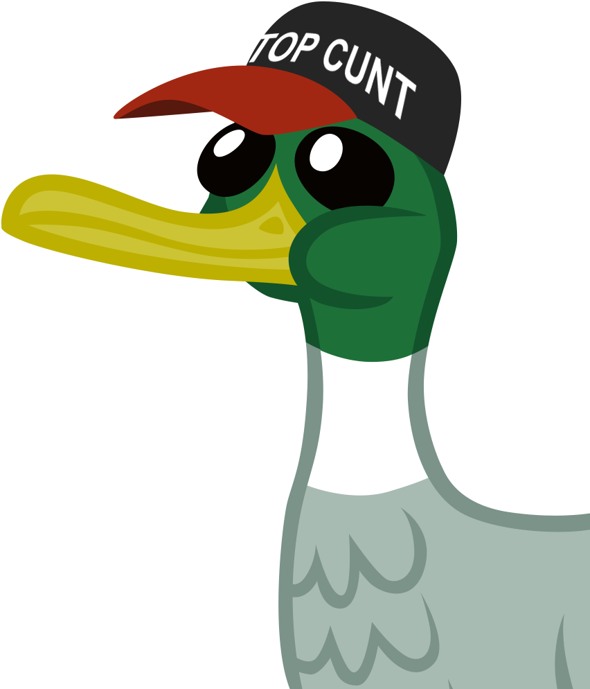 Baseball Cap, Duck, Hat, Op, Op Is A Duck, Reaction - Duck With Gun Png (906x1080), Png Download