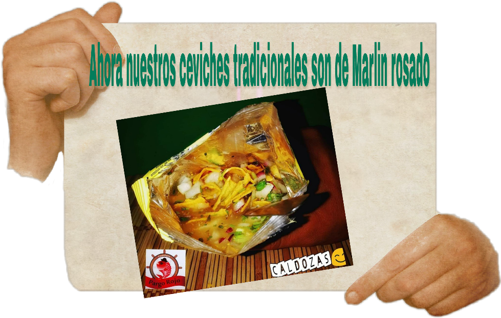 Ceviche Pargo Rojocevichedepescado - Hands Holding Paper (1024x1024), Png Download