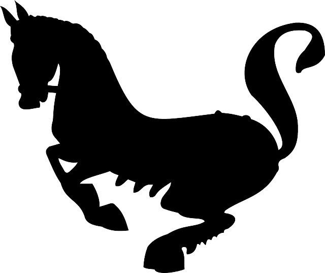 Black, Silhouette, Horse, Animal - Siluetas De Animales En Negro (640x537), Png Download