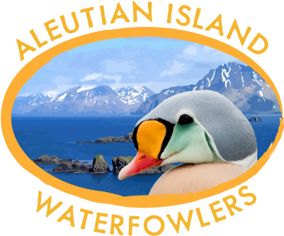 Alaksa Duck Hunting Guides Logo - Cold Bay (400x359), Png Download