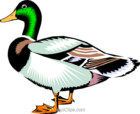 Clipart Duck Wild Duck - Duck Clipart (480x391), Png Download