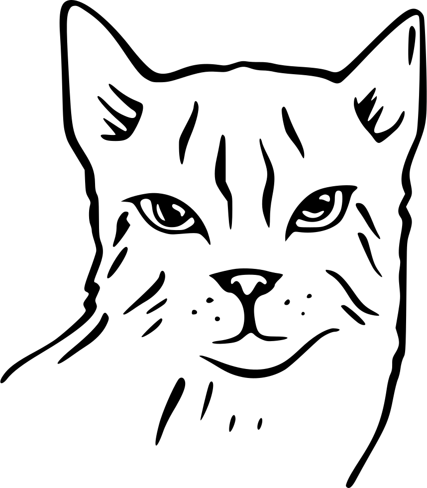 Cat Comments - Dog (858x980), Png Download