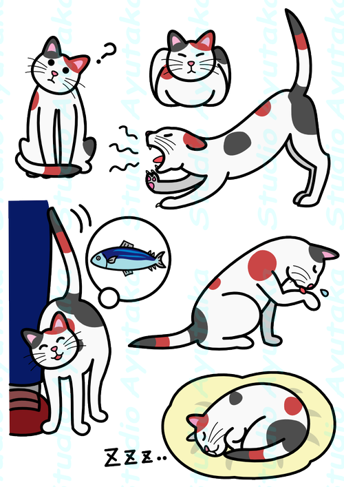 Cat Expressions Png - Istock (500x707), Png Download