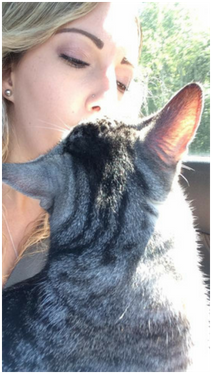 My Cat Had Rhinitis And Her Poor Nose Was So Swollen - Tabby Cat (555x380), Png Download