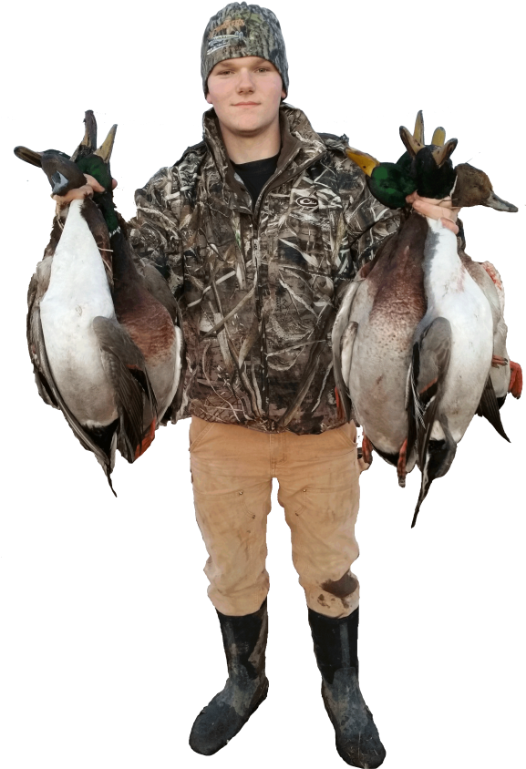 Western Mn Duck Hunt Prices - Waterfowl Hunting (576x1024), Png Download