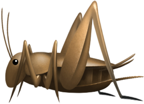 Cricket - Cricket Emoji (571x571), Png Download