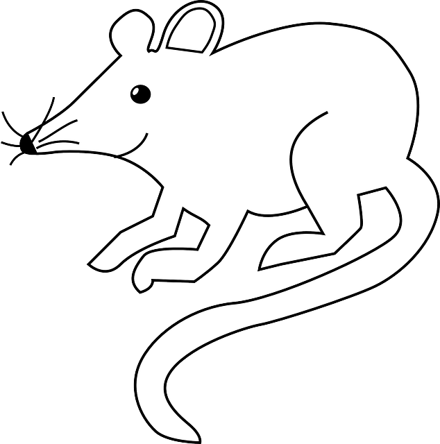 Cat, Mouse, Silhouette, Cats, Chasing, Mice, Nose, - Mouse Clip Art (634x640), Png Download
