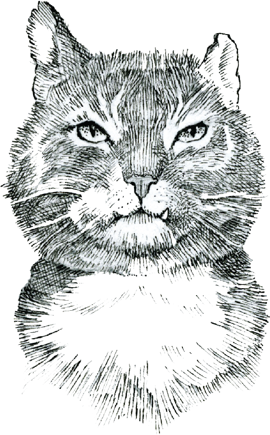 Alfie-2 - Portable Network Graphics (563x880), Png Download