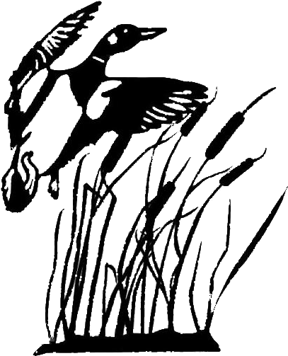 Duck Hunting Drawing At Getdrawings - Cat Tail Clip Art Black And White (450x533), Png Download