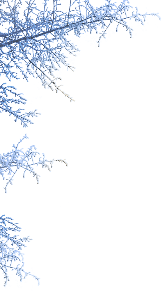 17 Nov - Winter Png (567x1000), Png Download