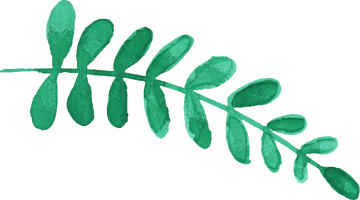 14 Watercolor Leaf Vol - Watercolor Flowering Leaves Png (724x403), Png Download