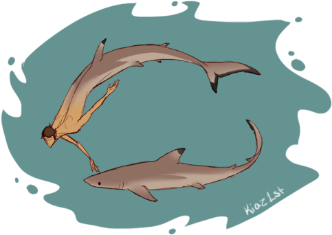 2 - Tiger Shark (500x375), Png Download