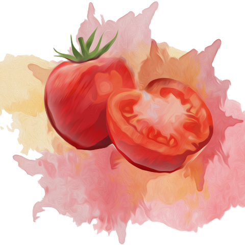 Picsart Photo Studio (480x480), Png Download