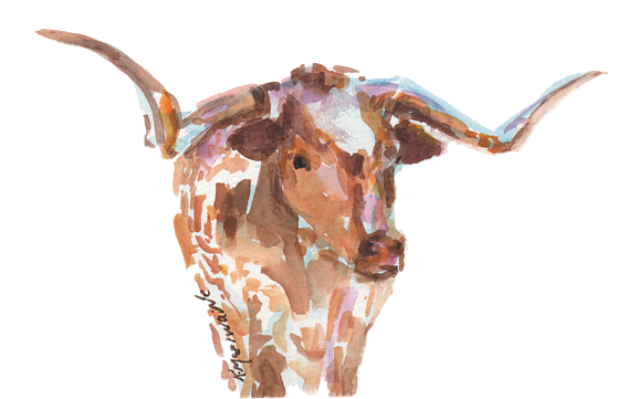 Bleed Area May Not Be Visible - Longhorn Print (600x400), Png Download