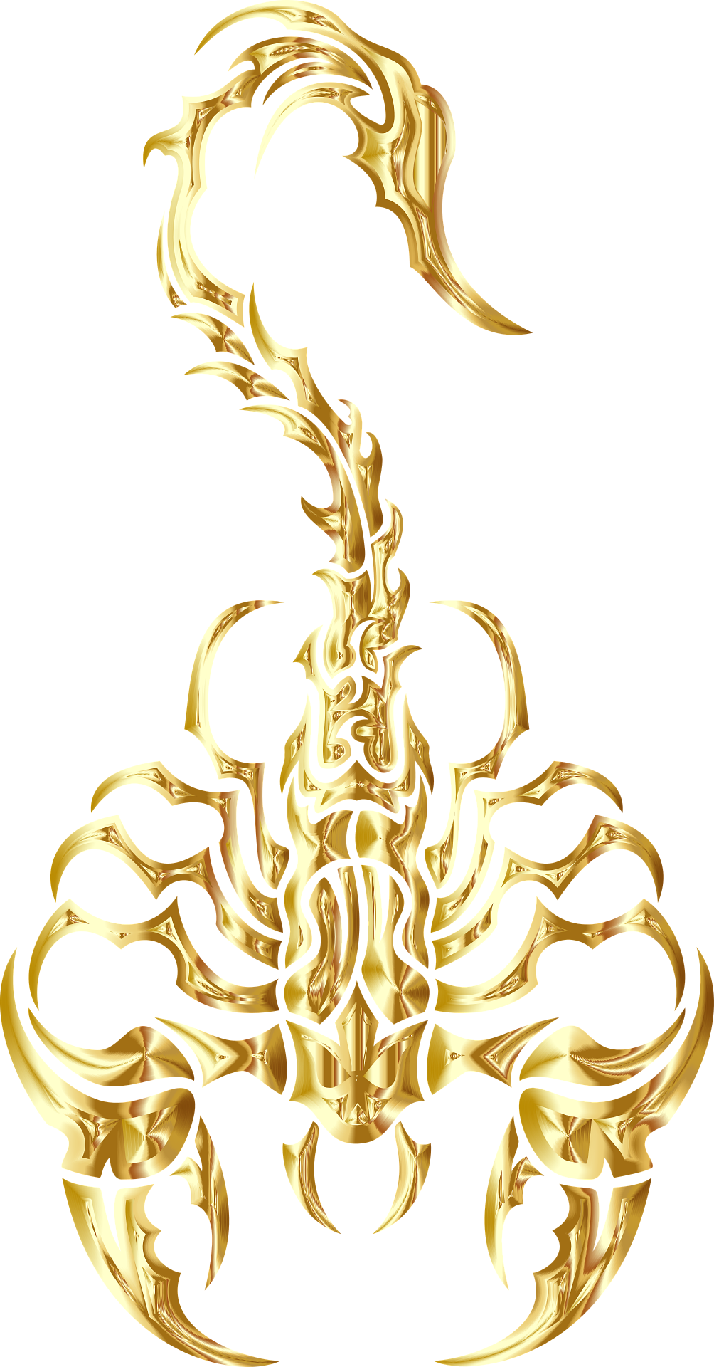 Scorpion - Cafepress ! Samsung Galaxy S8 Case (1004x1920), Png Download