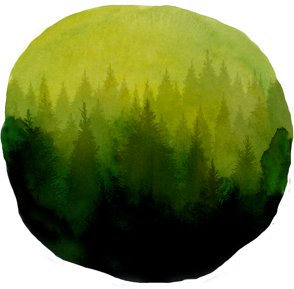 Forest Green Watercolor Png (1024x1024), Png Download