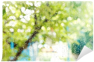Home Window With Raindrops After Summer Rain Wall Mural - Psychodynamic Treatment Of Depression By Fredric N. (400x400), Png Download