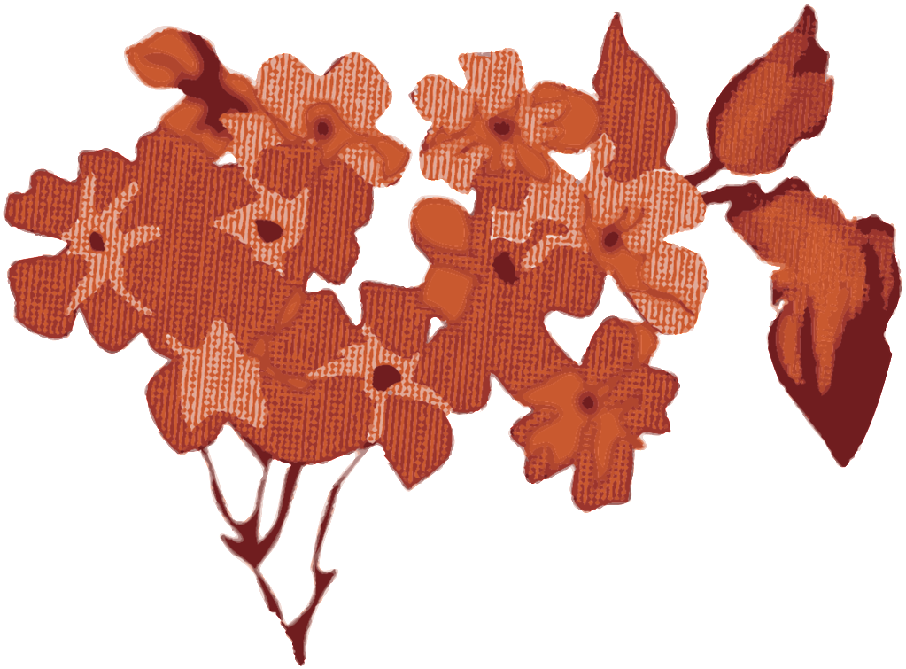 This Graphics Is Autumn Leaves Cartoon Transparent - Seahorse (1024x767), Png Download
