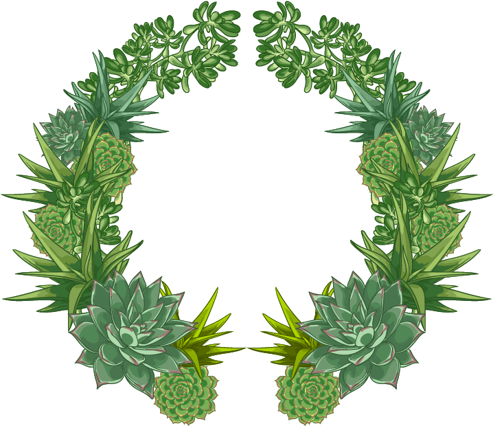 Cactaceae Flower Watercolor Painting - Green Wreath Watercolor Png (902x806), Png Download