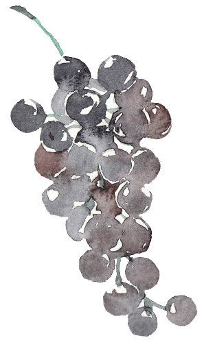 Creative Grape Design Transparent Watercolor - Design (1024x1024), Png Download