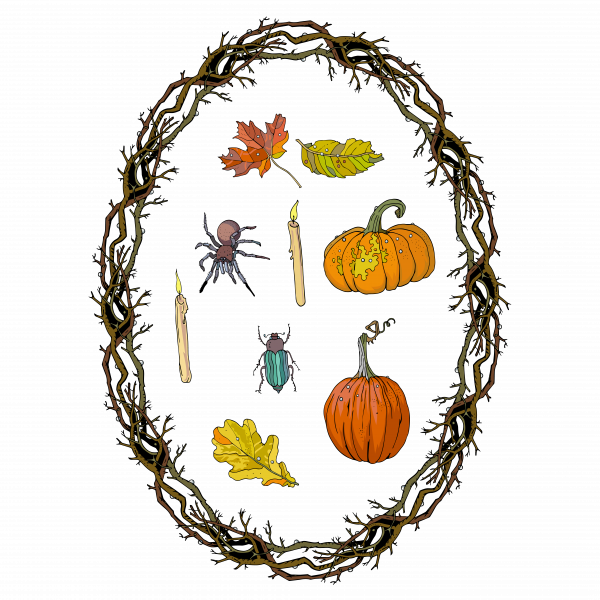 Pumpkins, Spider, Wreath Branches Frame - Autumn (600x600), Png Download