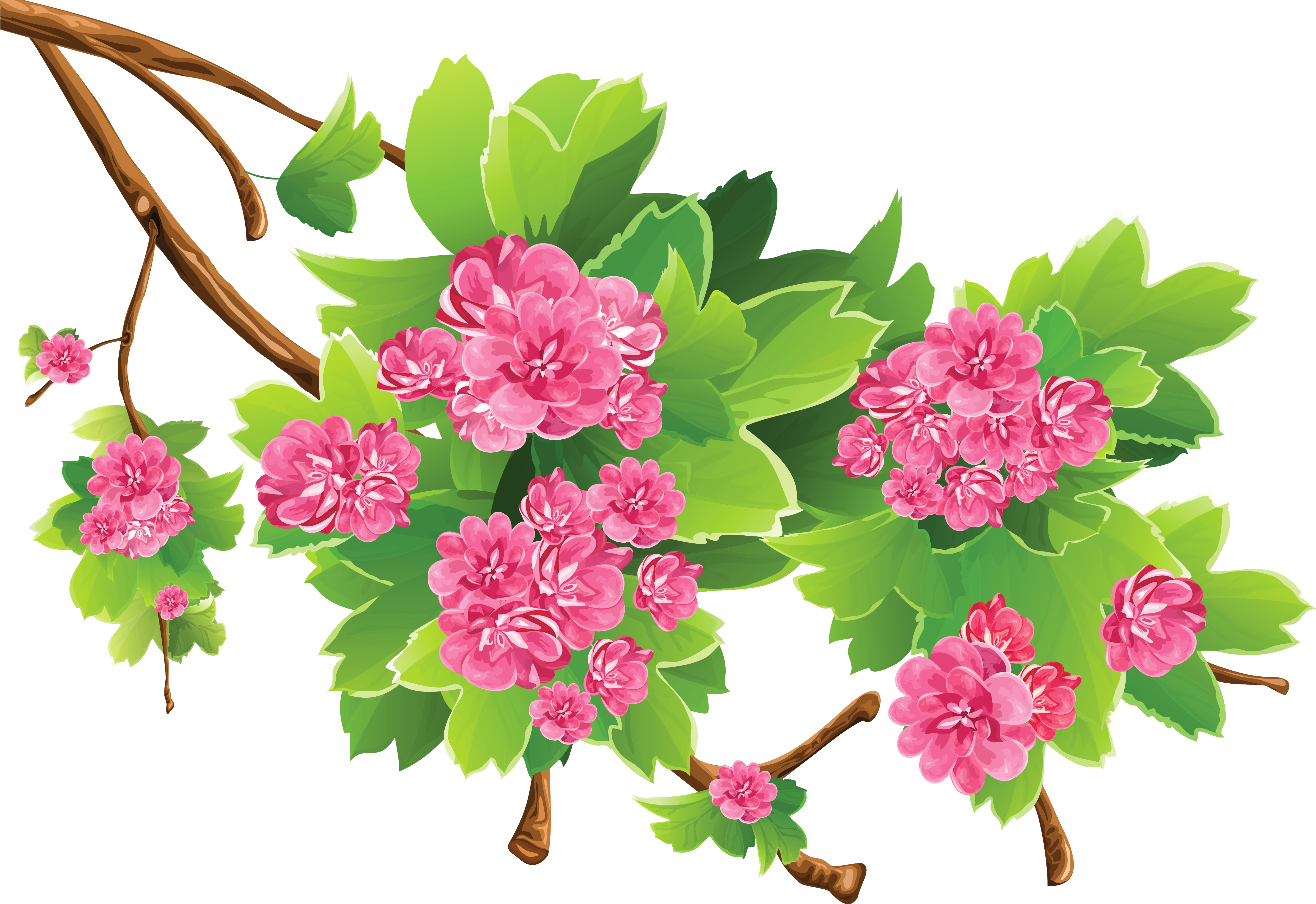 Spring Clipart Transparent Background (5419x3618), Png Download