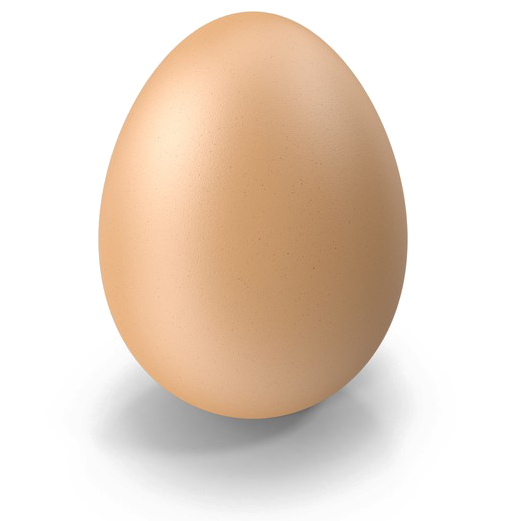 Brown Egg Png Photo - Portable Network Graphics (600x600), Png Download