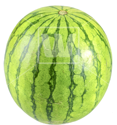 Watermelon Png - Portable Network Graphics (373x550), Png Download
