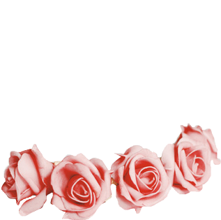 Transparent Red Flower Crown - Flower Crown Sticker Transparent (334x447), Png Download