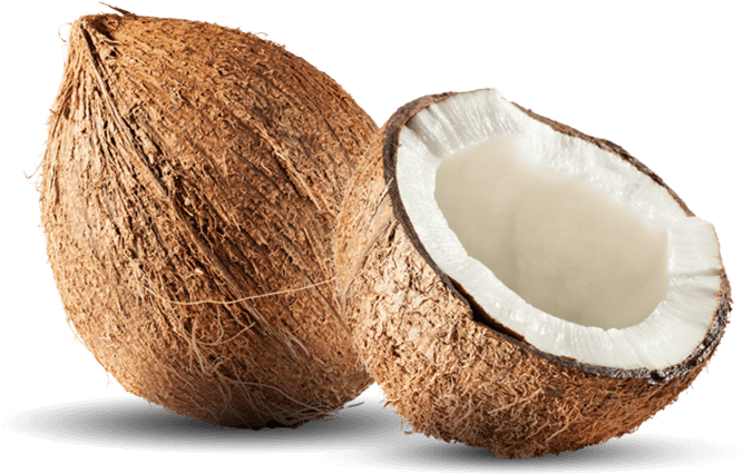 Coconut Png File Download Free - Coconut Png (680x426), Png Download