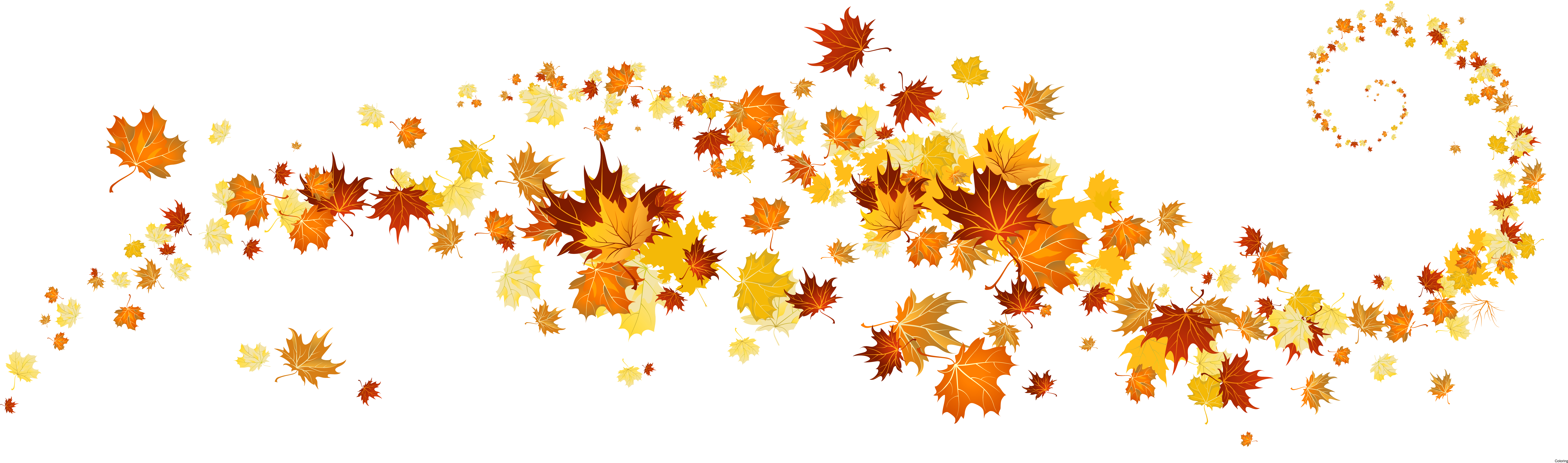 Autumn Leaf Color Clip Art - Fall Clipart (7561x2383), Png Download