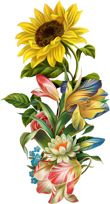 Pin By R - Clip Art (437x800), Png Download