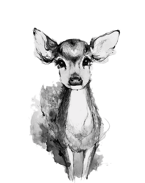 Late Nigts, Red Eyes, Amnesia - Watercolor Deer Drawing (500x708), Png Download