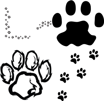 Wildcat Paw Png (400x400), Png Download