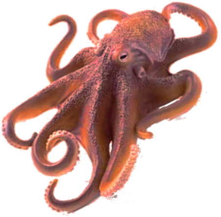 Octopus Free Png Image - Octopus Png (500x500), Png Download