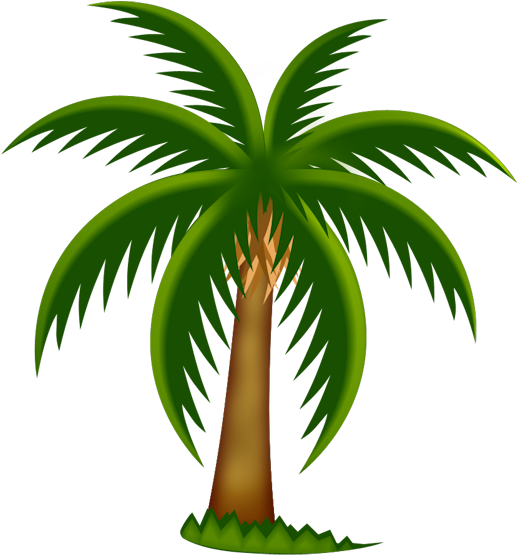 Painted Palm Tree Png Clipartu200b Gallery Yopriceville - Date Tree Clip Art (538x587), Png Download