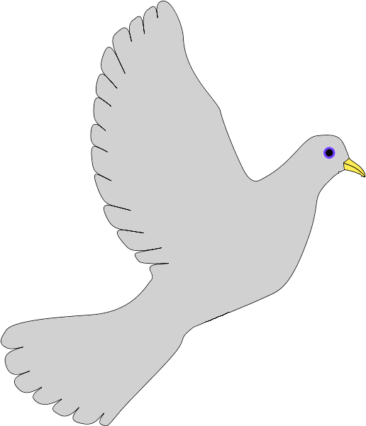 239 × 240 Pixels - Grey Dove Png (479x480), Png Download
