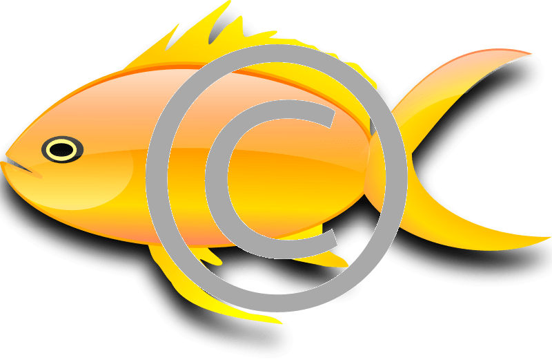 Goldfish - Png - Gold Fish Clip Art (800x521), Png Download