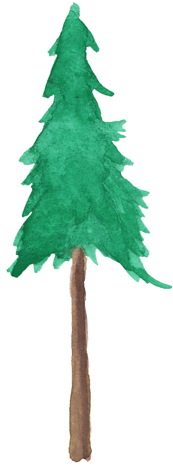 Png Watercolor Trees Clipart Free - Watercolor Painting (354x958), Png Download