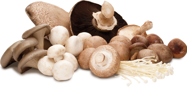 Shiitake Mushroom Png - Mushroom Png (630x293), Png Download