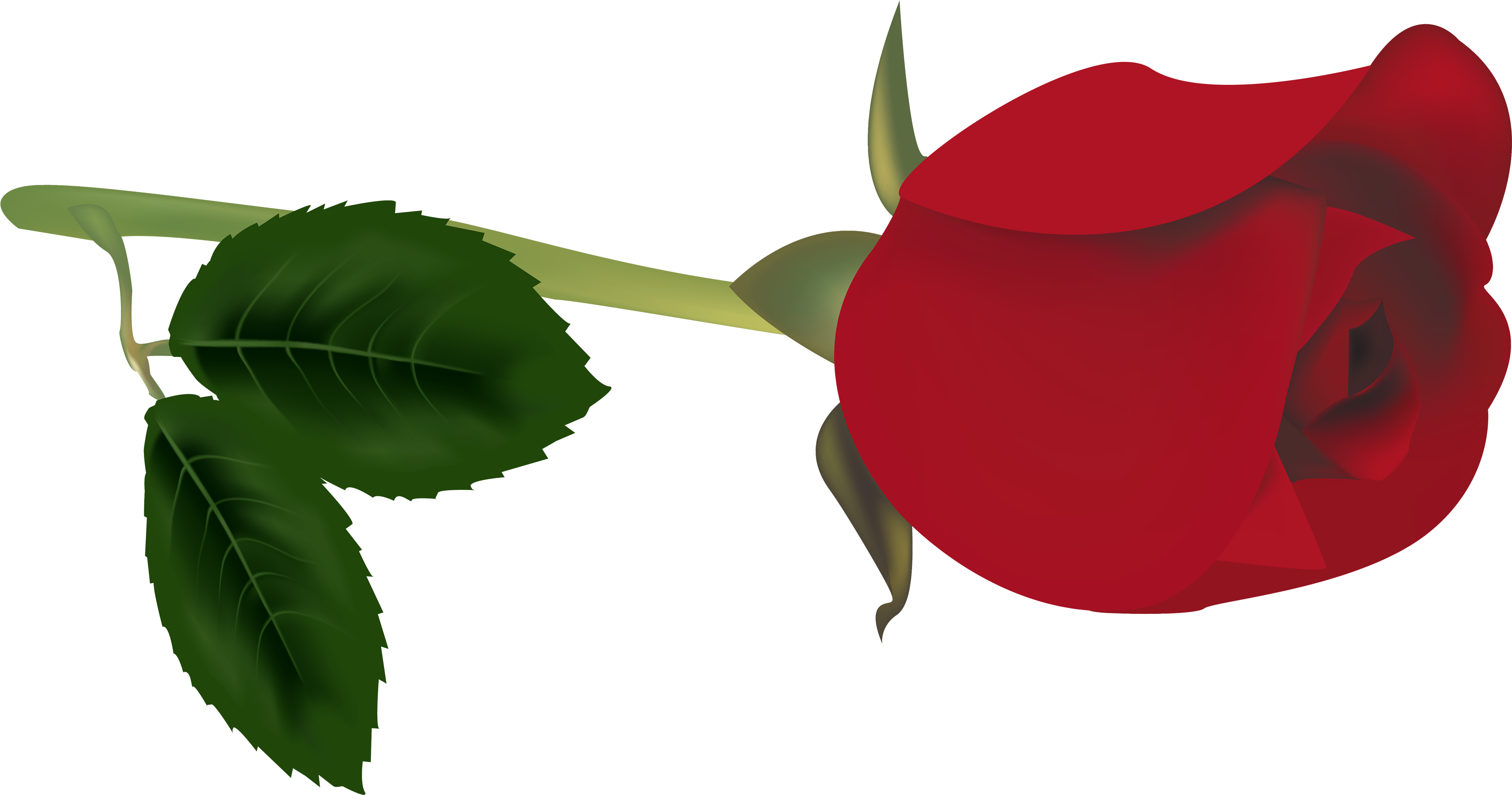 Bud Clipart Red Rose - Bud Clipart (4000x2136), Png Download