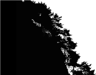 Forest Black And White Png (400x300), Png Download