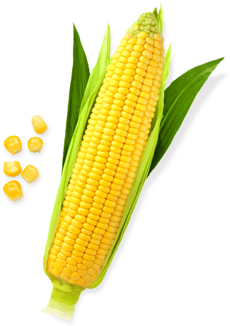 Sweet Corn Png File - Corn Png (460x460), Png Download