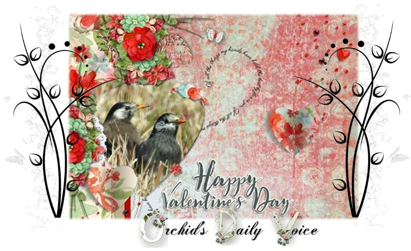 Happy Valentine's Day - Christmas Card (828x510), Png Download